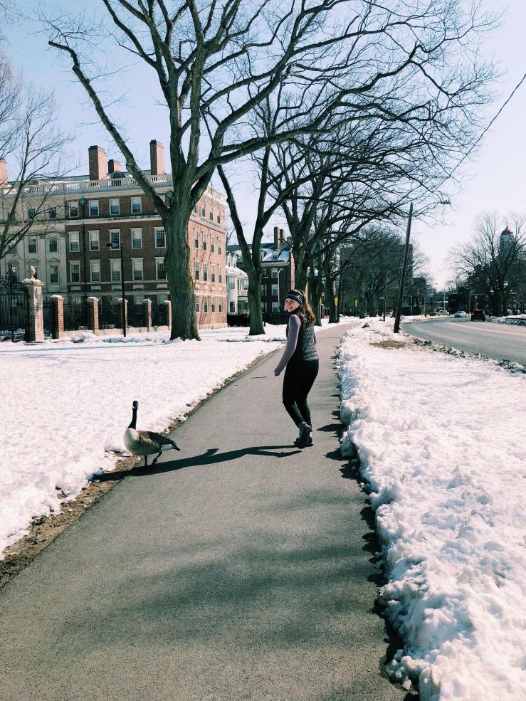 Girl running on pavement path near a goose, snow on either side of path