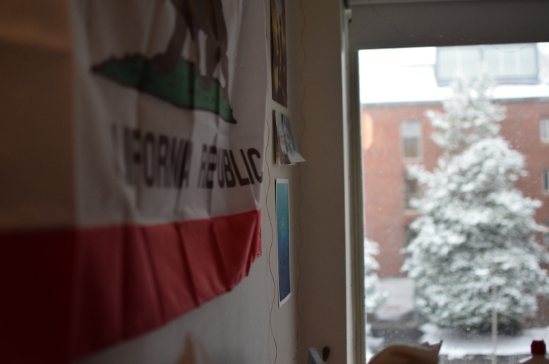 California flag and window showing snow-covered tree