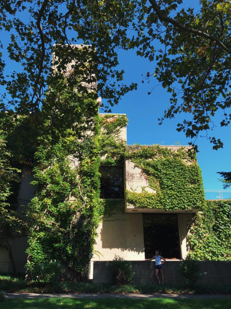 Ivy-covered building at Harvard Business School