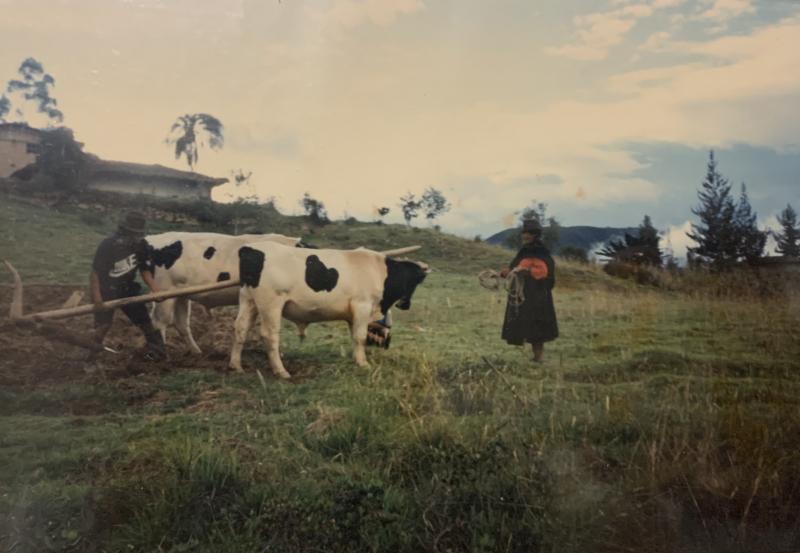 Picture of agriculture work in Saraguro