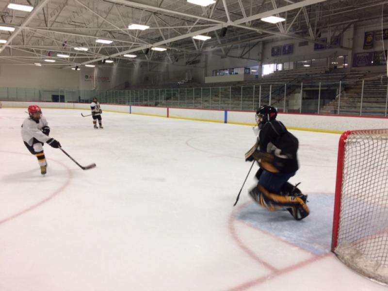 Professor Susan Murphy playing hockey.