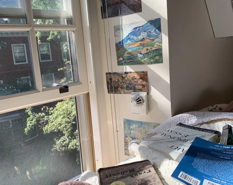 books scattered across a bed and a view of trees and sunlight through the window