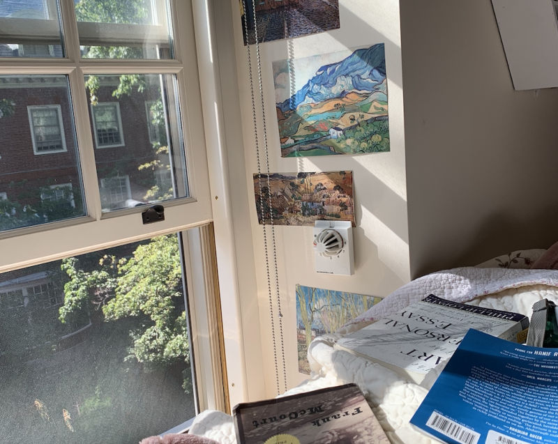 books scattered across a bed and a view of trees and sunlight through the window