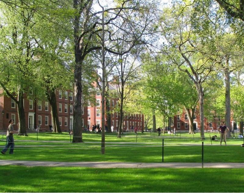 A picture of Harvard Yard