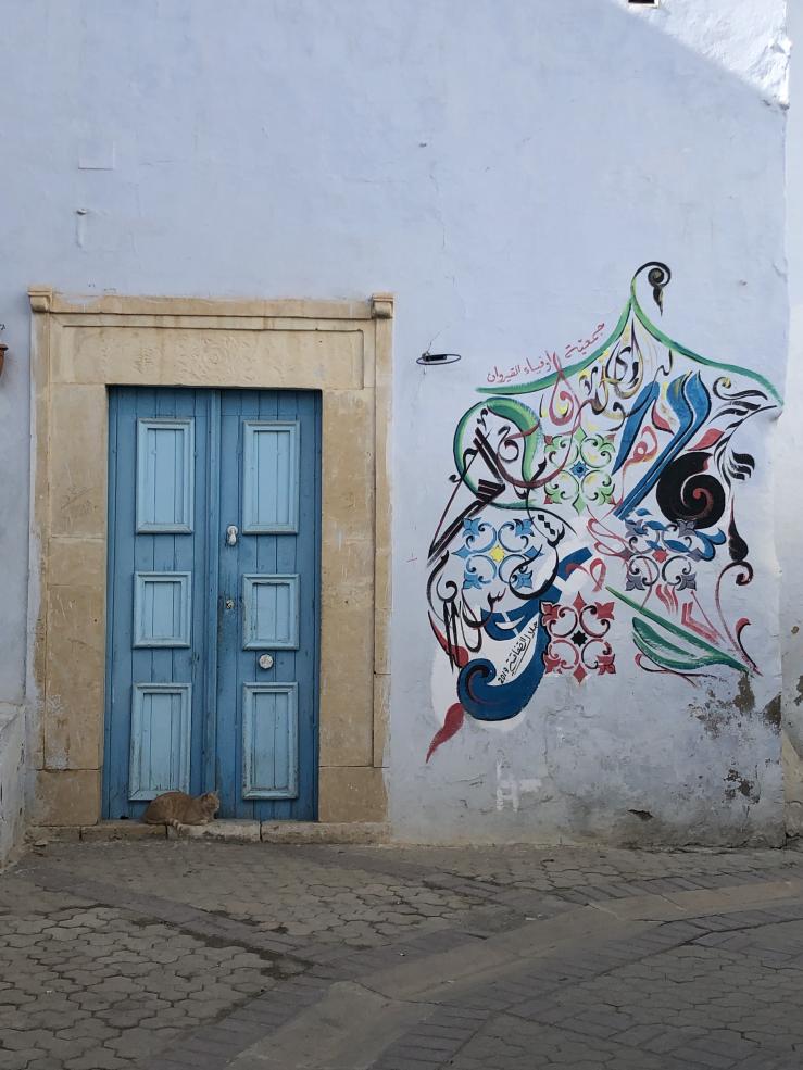 Blue door, cat, and graffiti in Medina