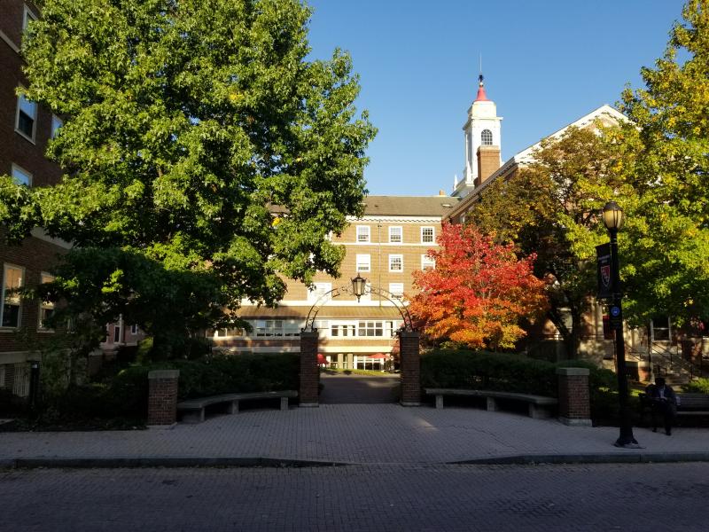 The exterior of Pforzheimer House on a sunny autumn day