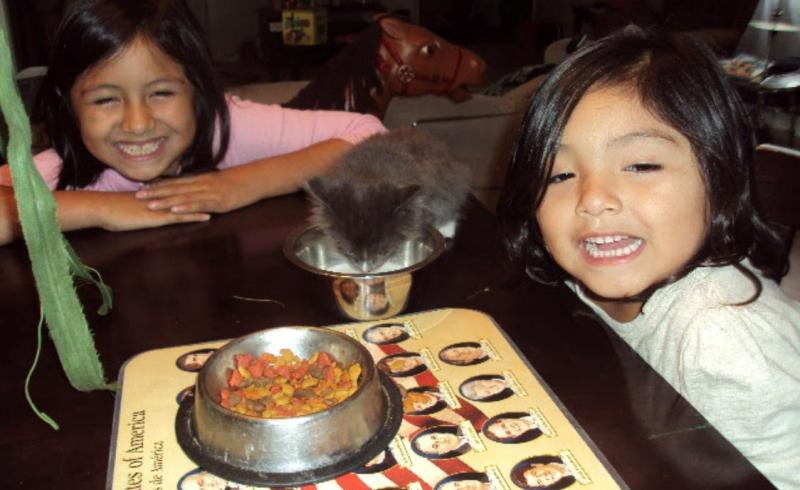 Two little girls smiling with a kitten. 