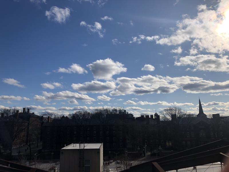 Sunny day with clear blue skies overlooking buildings in Harvard Yard