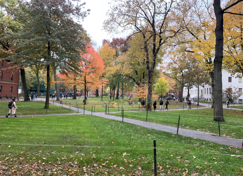 Harvard Yard in the autumn.