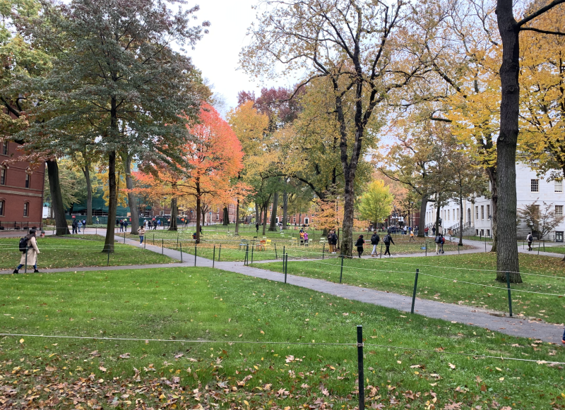 Harvard Yard in the autumn.