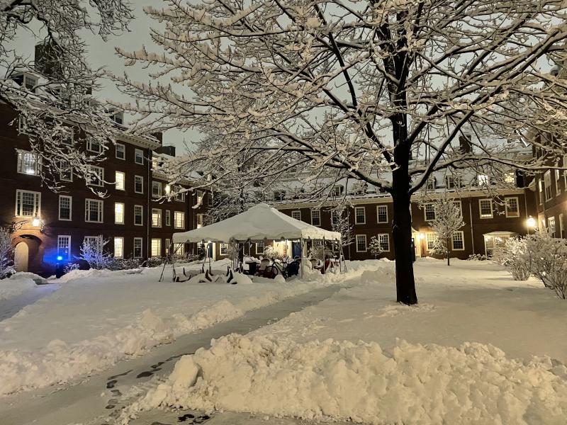 Heavy Snow in the Small Lowell Courtyard