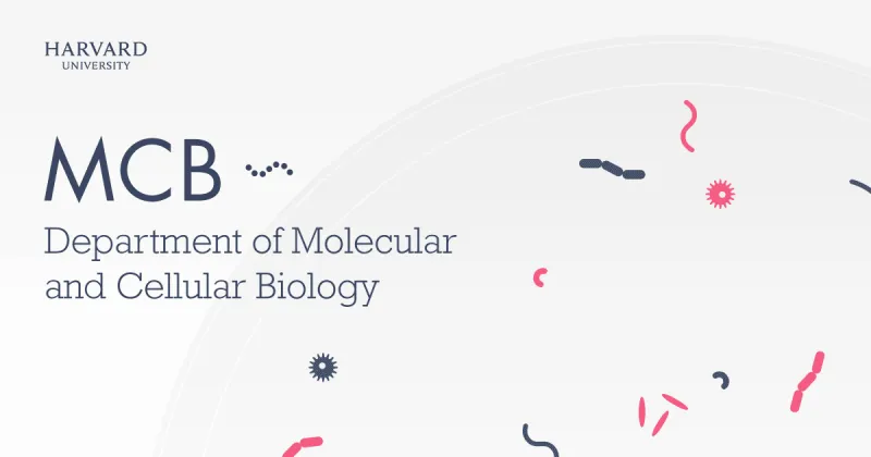 A gray webpage with the words "MCB Department of Molecular and Cellular Biology"