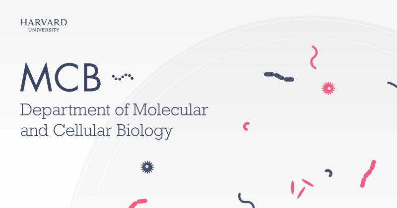 A gray webpage with the words "MCB Department of Molecular and Cellular Biology"