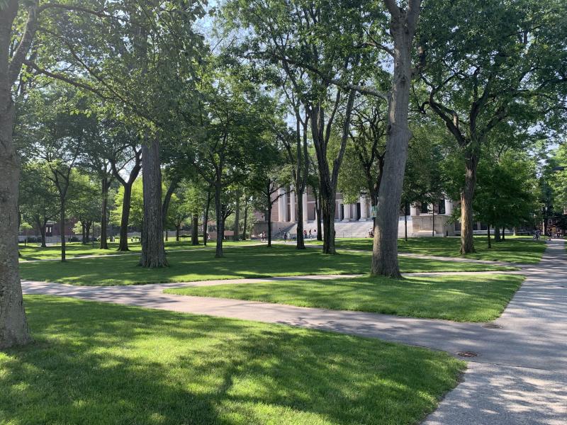 A outdoor image of Harvard Yard on a sunny day in the summertime