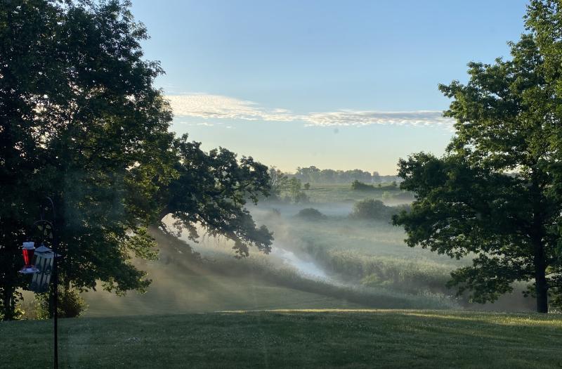 Image of a field with a stream and fog in the valley.