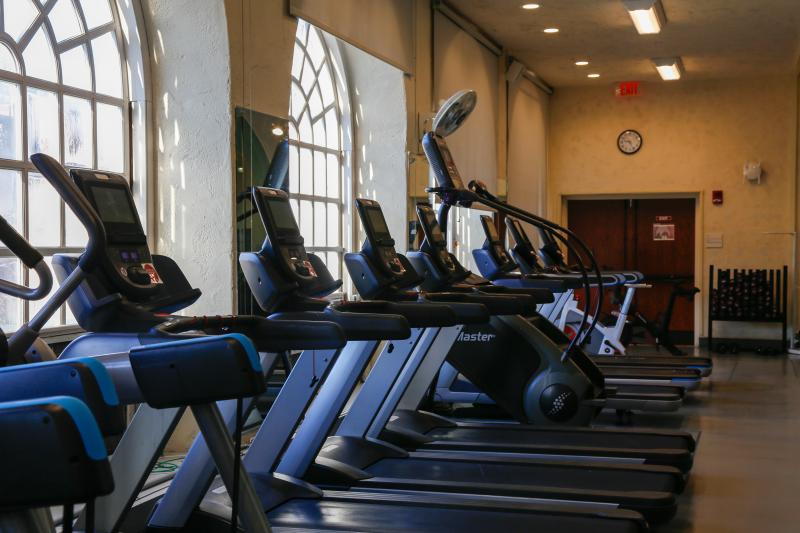 A row of treadmills