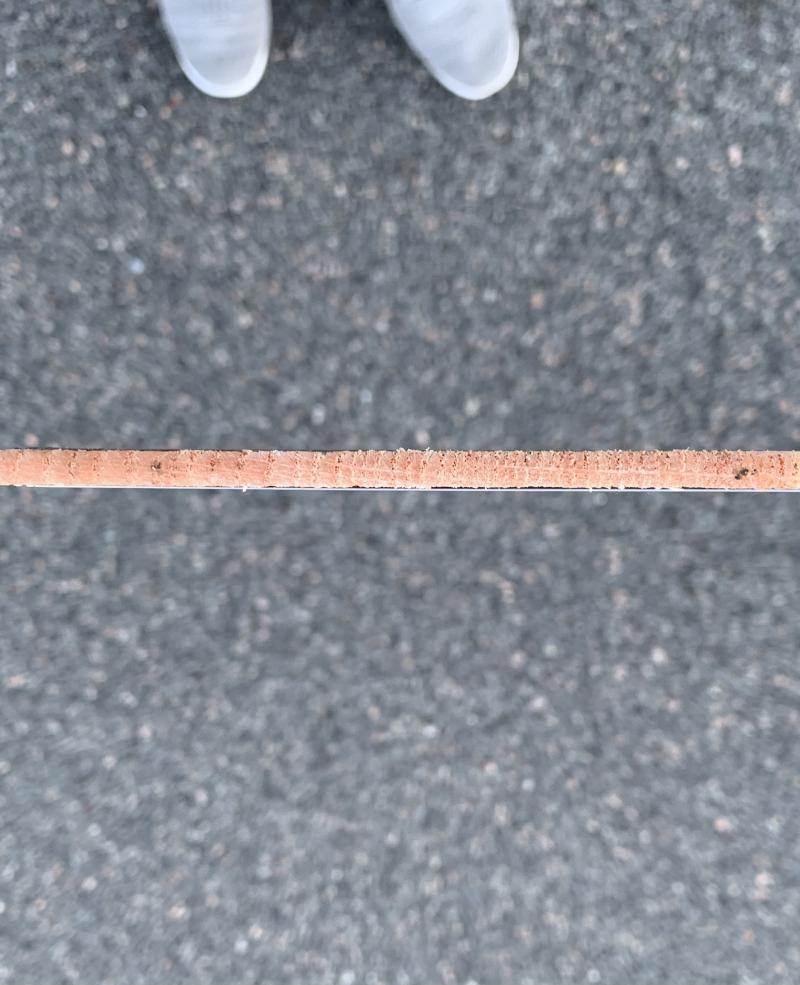 A picture of a tree core in front of a concrete walkway background.