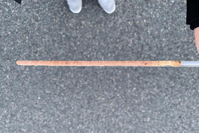 A picture of a tree core in front of a concrete walkway background.