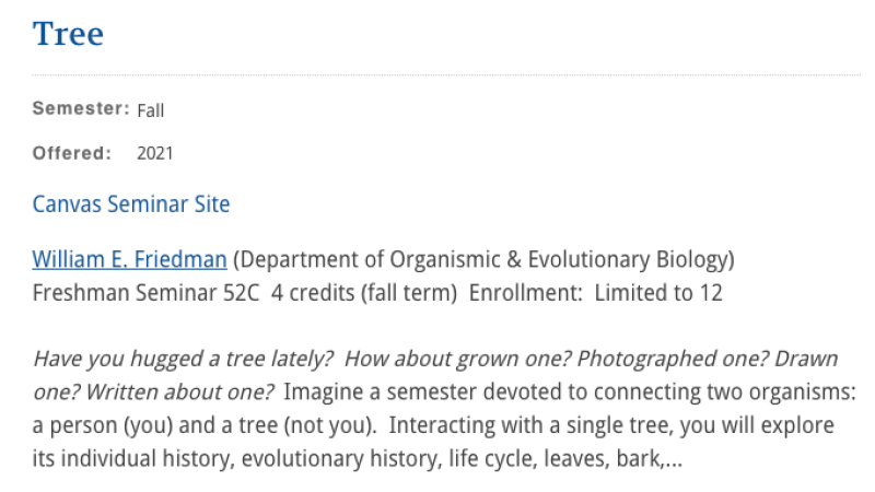 A screenshot of the class description of "Tree" posted online.