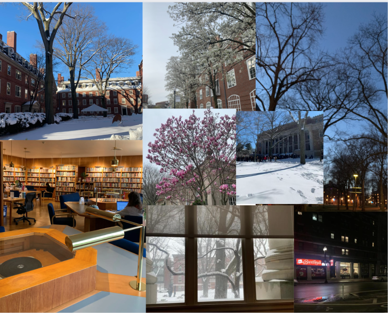 Although it may not be Hogwarts, Harvard has a great deal of magic to it.