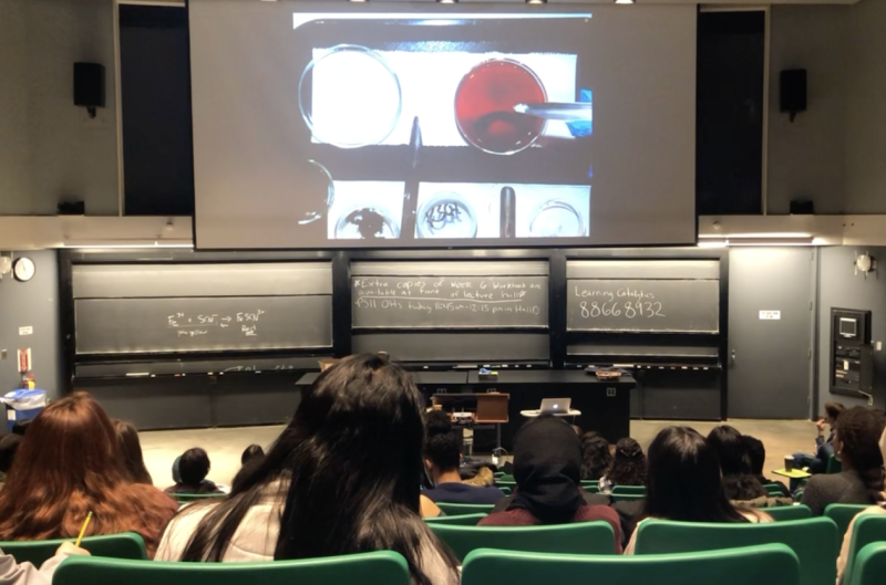 Physical Sciences 11 lecture demonstration in an auditorium