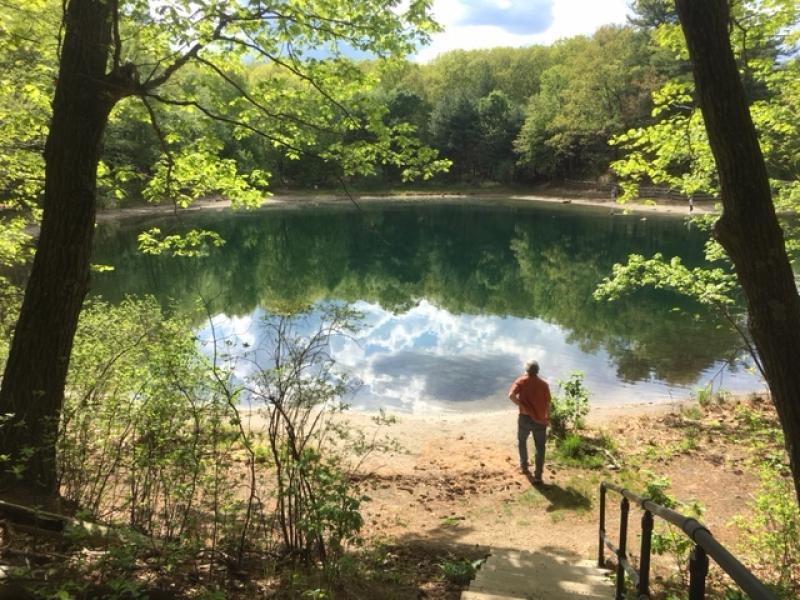 A photograph of a lake in Concord, MA, taken by Nancy Etcoff.