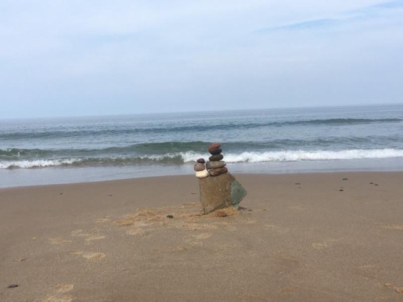 A beach in Wellfleet, MA.