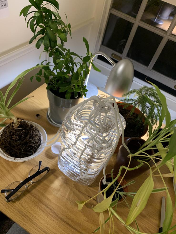Jug of water with rope dipped inside, connected on each end to plant pots.