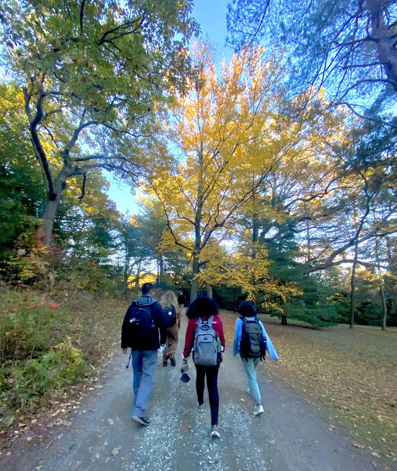 Picture of three students walking along a trail in the Arnold Arboretum under large trees.