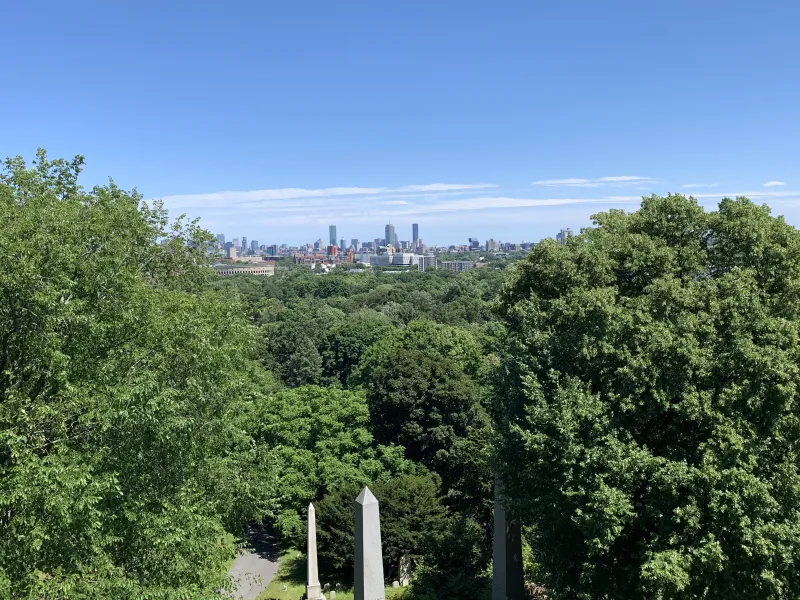 Picture taken from atop the Washington Tower, depicts trees with buildings in Cambridge in the background.