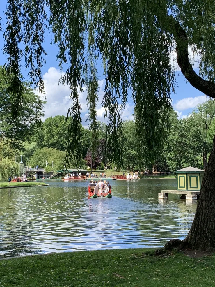 Picture of a swan boat on a pond taken from a hill.