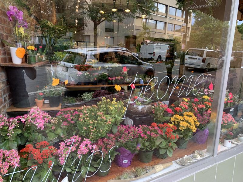 Picture of plants on display through the window of Brattle Square Florist.