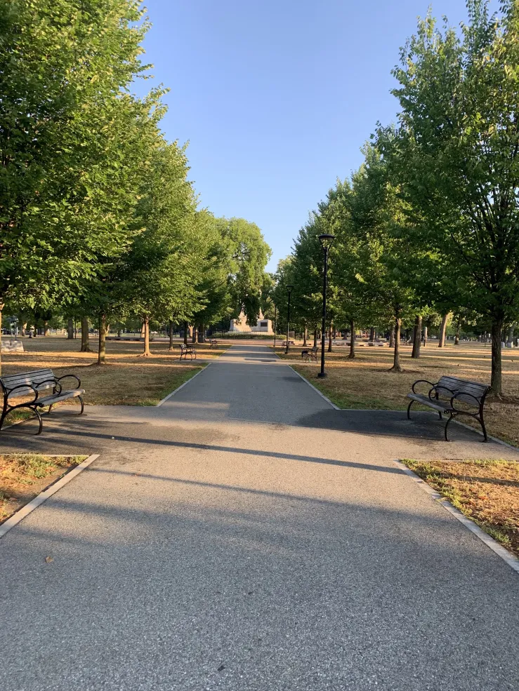 Picture of a concrete path at Cambridge Commons, surrounded by trees and grass.