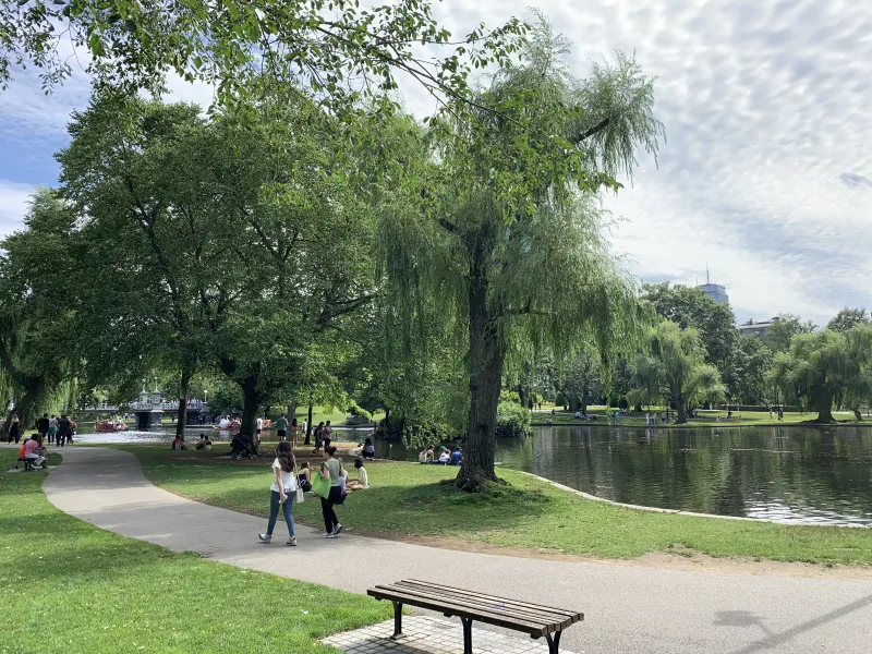 Picture of a path the Boston Public Library with a pond in the background and bench in the foreground.