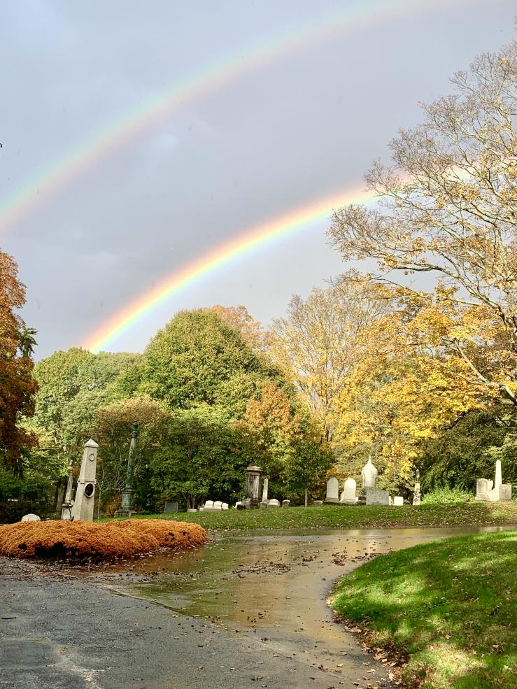 Picture of a double rainbow above a main road surrounded by trees at the Mount Auburn Cemetery.