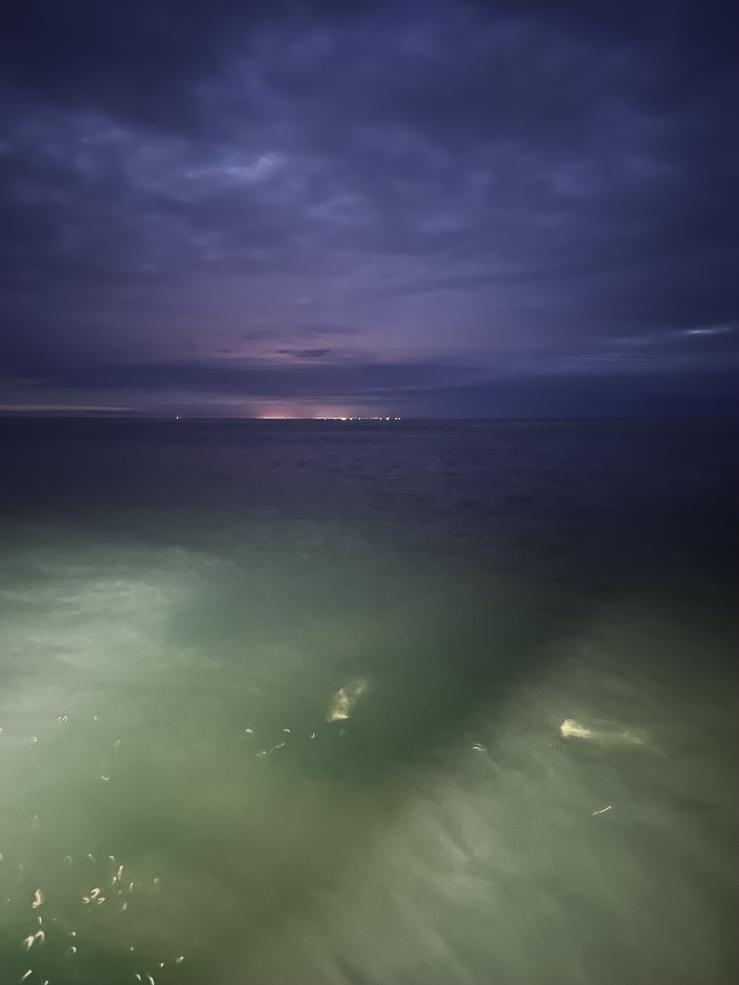 Two jellyfish in the light and image of the sea at night