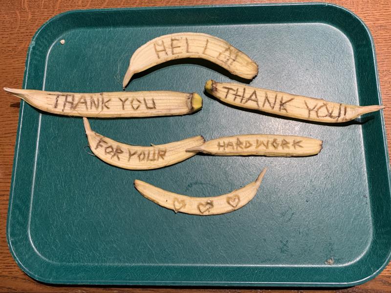 Picture of banana peels that have words written on them expressing gratitude