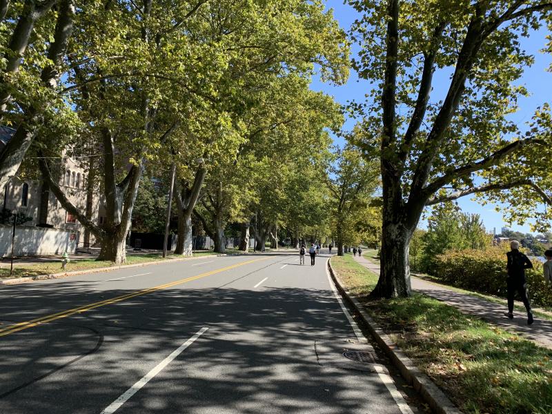 Picture of the road next to the Charles River