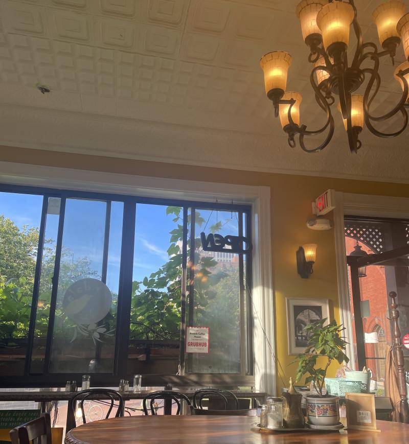 A view of the inside of a coffee house - window and tables