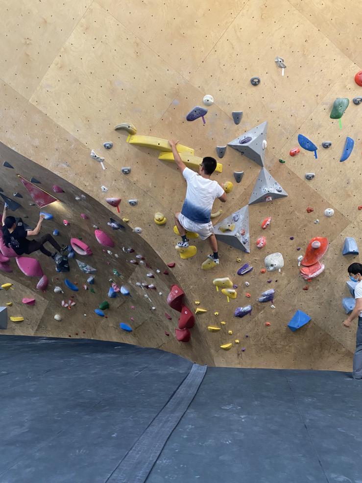 A picture of writer climbing on a bouldering wall