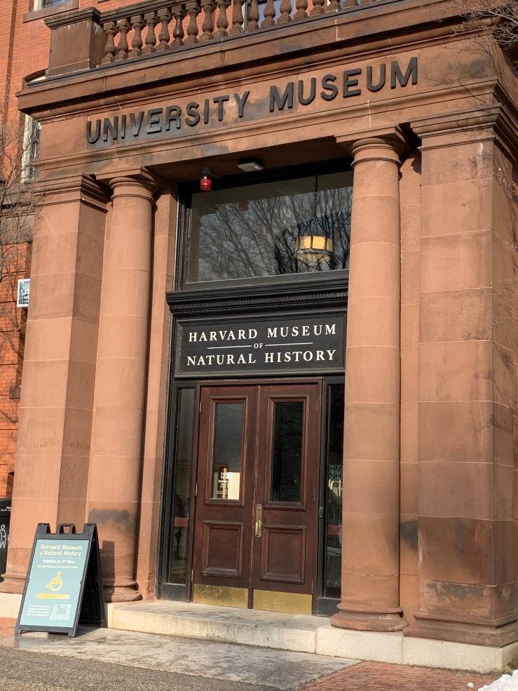 Picture of the entrance of the Harvard Museum of Natural History 