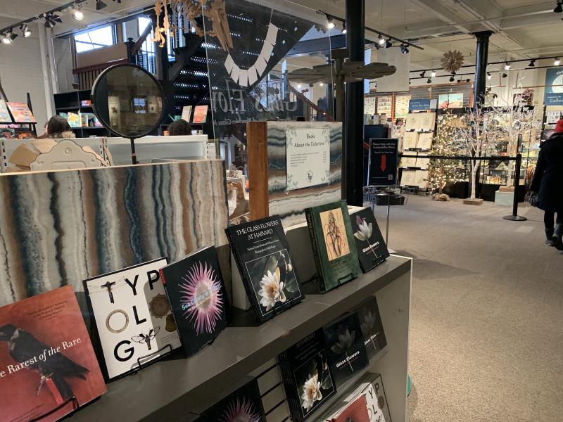 Picture of books on a shelf in the foreground, and museum gift shop in the background