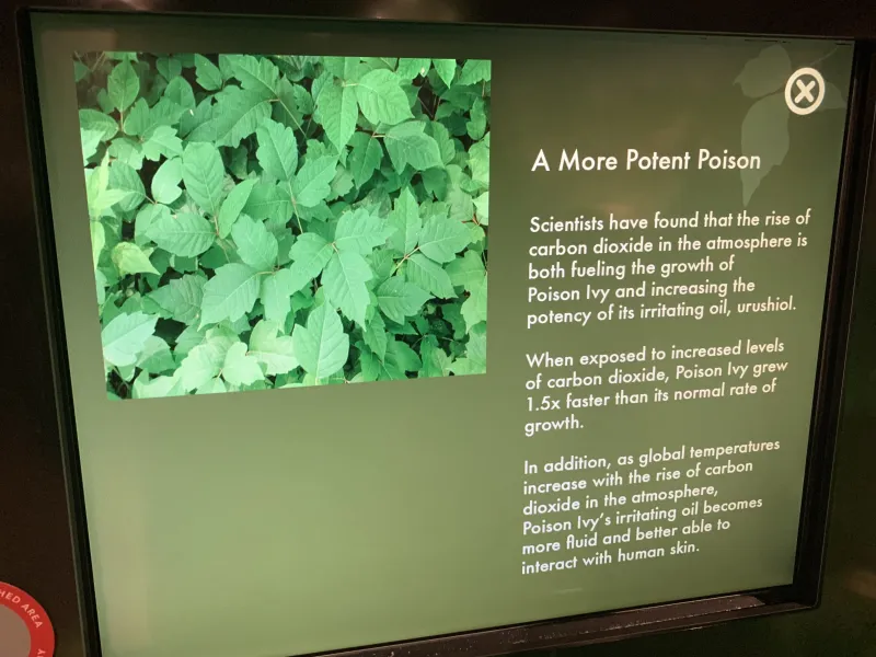 Picture of an electronic display showing a picture of poison ivy and supporting text regarding carbon dioxide