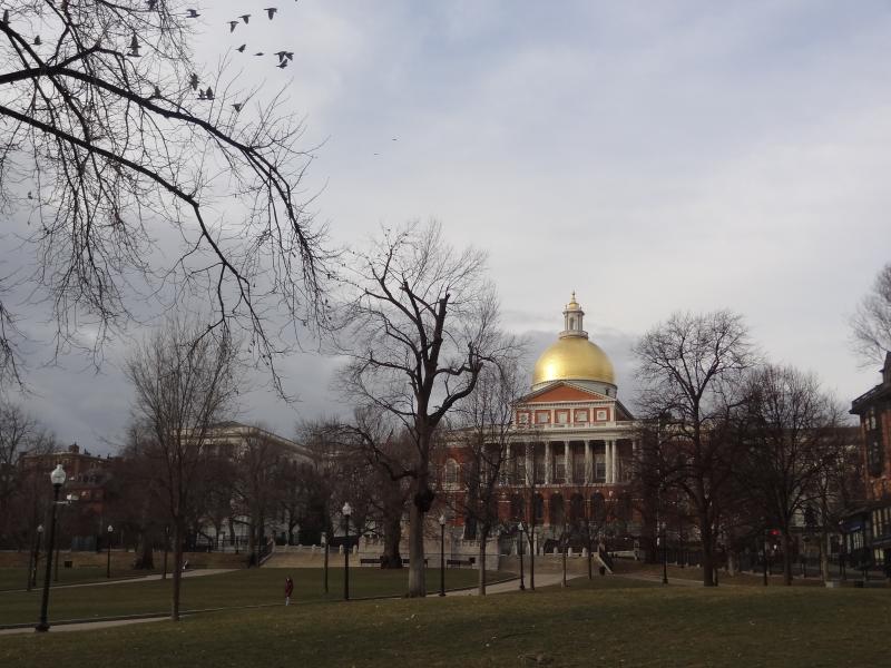 A view from Boston Commons - grass and buildings