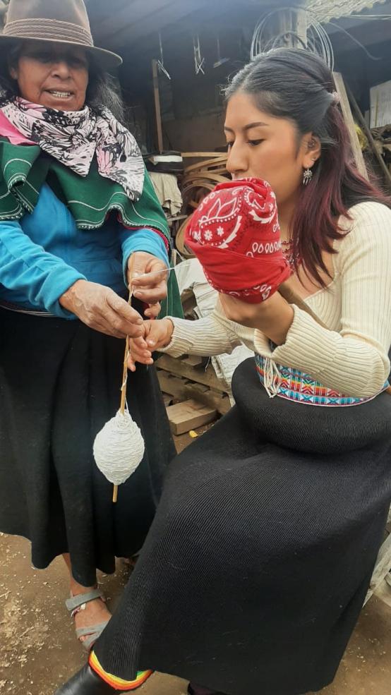 Author spinning wool