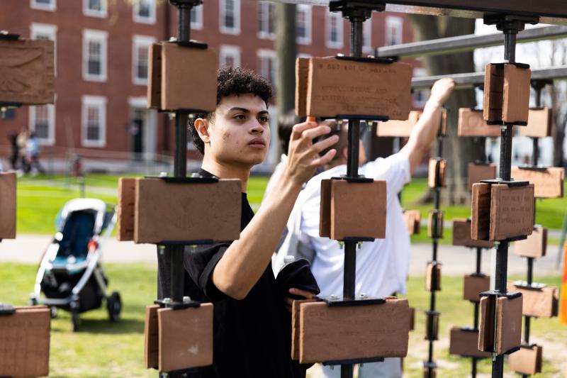 Student explores art installation in Harvard Yard for Arts First 2022