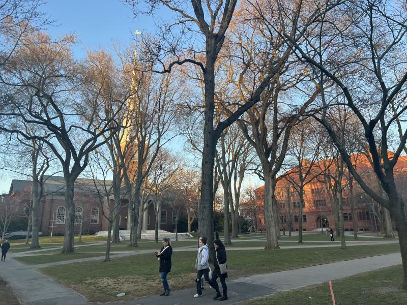 View of Yard at Harvard - large chapel with high top on left and red building on right, trees in foreground.