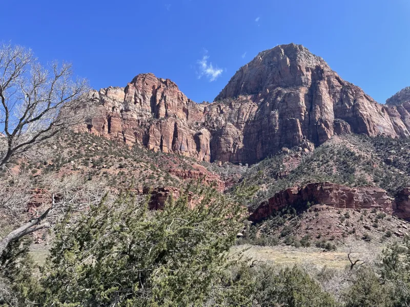An image showing the dusty rose canyons at Zion National Park