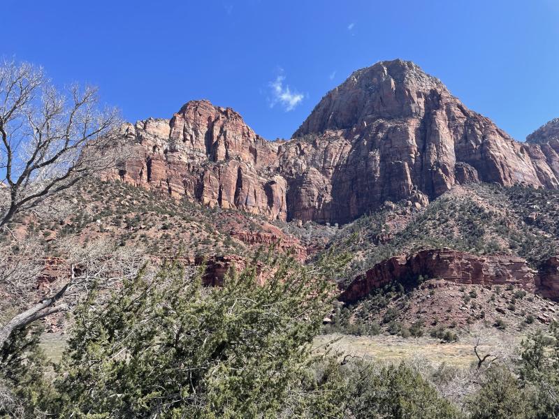 An image showing the dusty rose canyons at Zion National Park