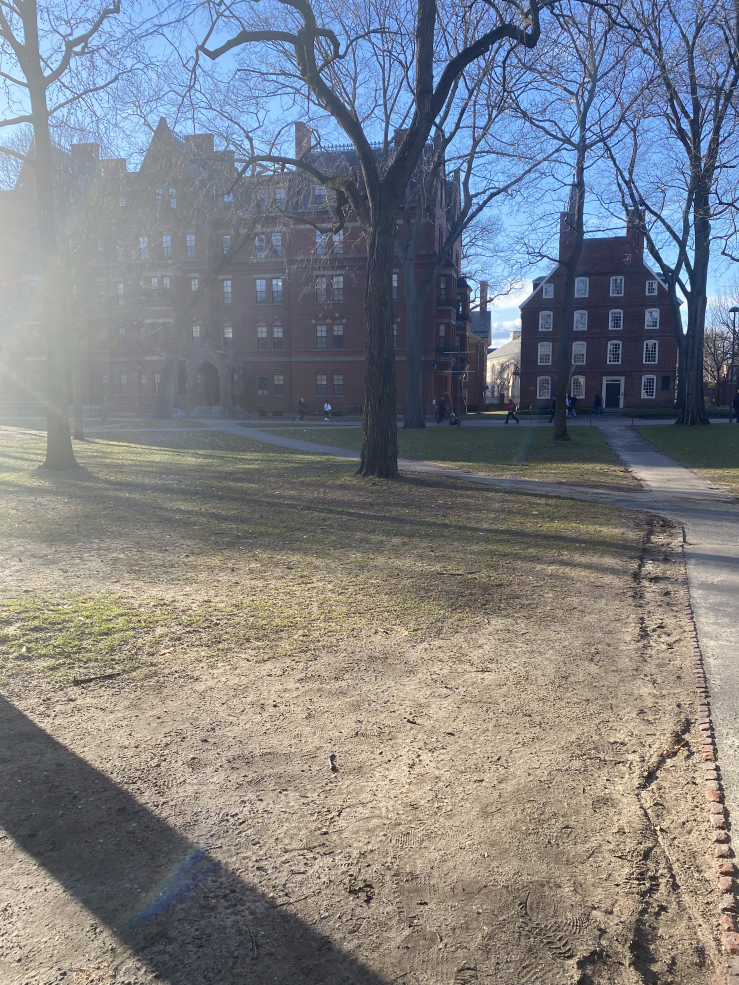 Sunny Harvard Yard
